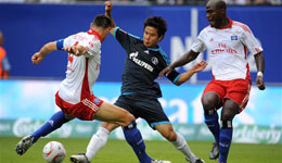 赛前分析德甲 汉堡VS沙尔克04