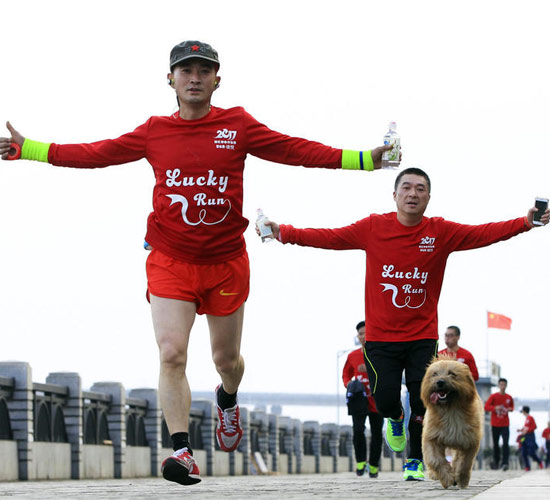 2017걽�ӭ�������� ������̲���鱼��