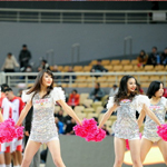 CBA��8�� �Ըб�����ƴ