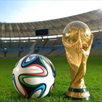 ����չʾ14�����籭����