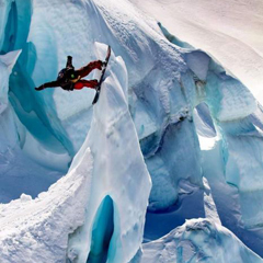 �ŵ������� �̼��񾭵ļ����˶���Σͼ