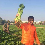 ��ƹũׯ�� �ż̿�Ц������