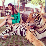 ��������ץ�ϻ�β�ͺ�Ӱ