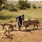 ���޹���Ա��ʨ��������