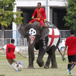 ̩������������