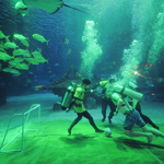 �й���ȫ������ ���������˶�