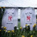 ���Ը������ɽ�� ���Բ�Ǩ