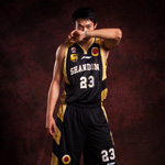 ɽ������������д��