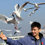 ������ʥ������ι��Ÿ ������������