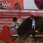 ��ţʿ����첼Ϸ��ţ ���˽ý����ն��