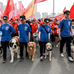 ֣�ݹ��������ɵ�äȮΪä�ˡ��캽��