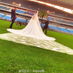 任航女友苏佳慧写真曝光 婚纱太美不敢看