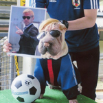 �����ձ����������� ɳƤ��ģ�±���