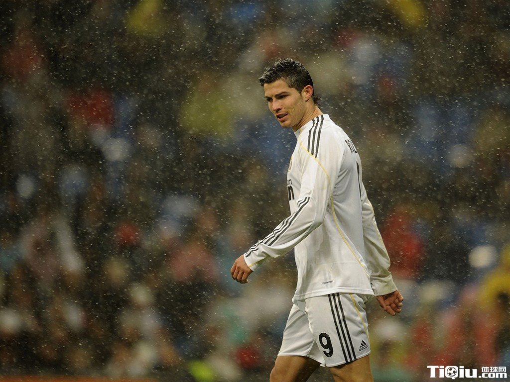 C�޸�������