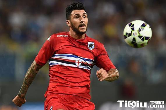 ������ŵ