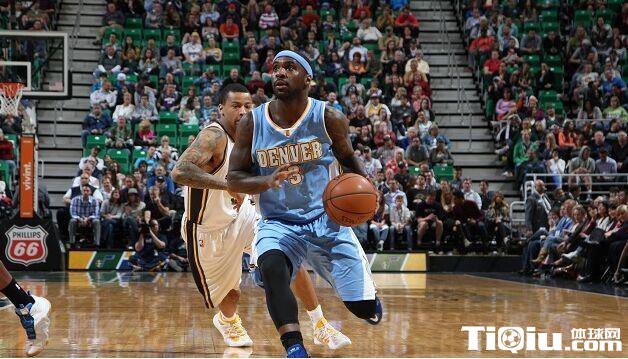 ����������ܽ���������