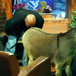 �̵�NBA�Բ��¼� �Ϳ�������¿ƨ��