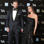 С��Я���ó�ϯ� ��ɩ�����¸߶�