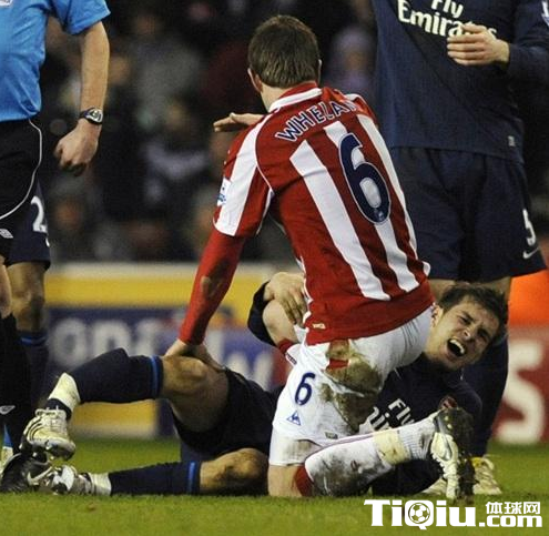 �̵���̳10��ֲ������¼�( ��ķ����