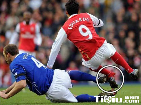 �̵���̳10��ֲ������¼�( ���»��ࣩ