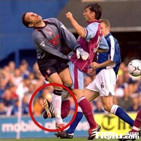 �̵���̳10��ֲ������¼�( ¬��-����˹��