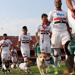 �ͼ׺�����Ա�볡ǣ�� ����������������Ȯ