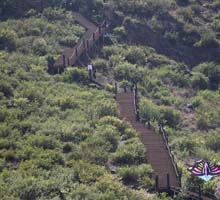 大青山健身登山步道美景