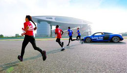 ����ΨһF1�����Ļ���Ԫ������ ��̴����