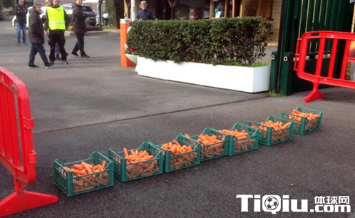 �������Է�100����ܲ�����Ա ������װ�׳�ά������