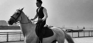 男神拍马背写真 靳东霍建华胡歌英姿