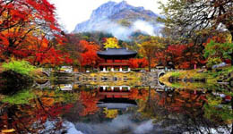 ��ɽ�˶��Ǿ������������� ���߲��ɴ���