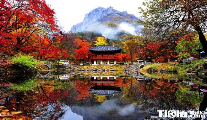 ��ɽ�˶��Ǿ������������� ���߲��ɴ���