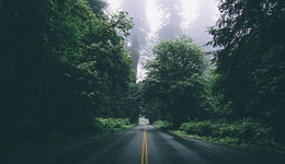 小知识达人:跑步时多看看绿色不易累