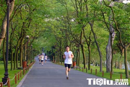 ÿ���ܲ�40���� 10������Ԥʾ���ܳ�������