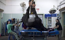 �������Ⱥ�����ȫ����