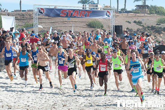 ���𷢴� ���������ܼ�������������Ԫ����