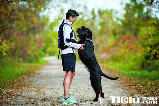 女孩为爱犬倒跑马拉松 创半程新世界纪录