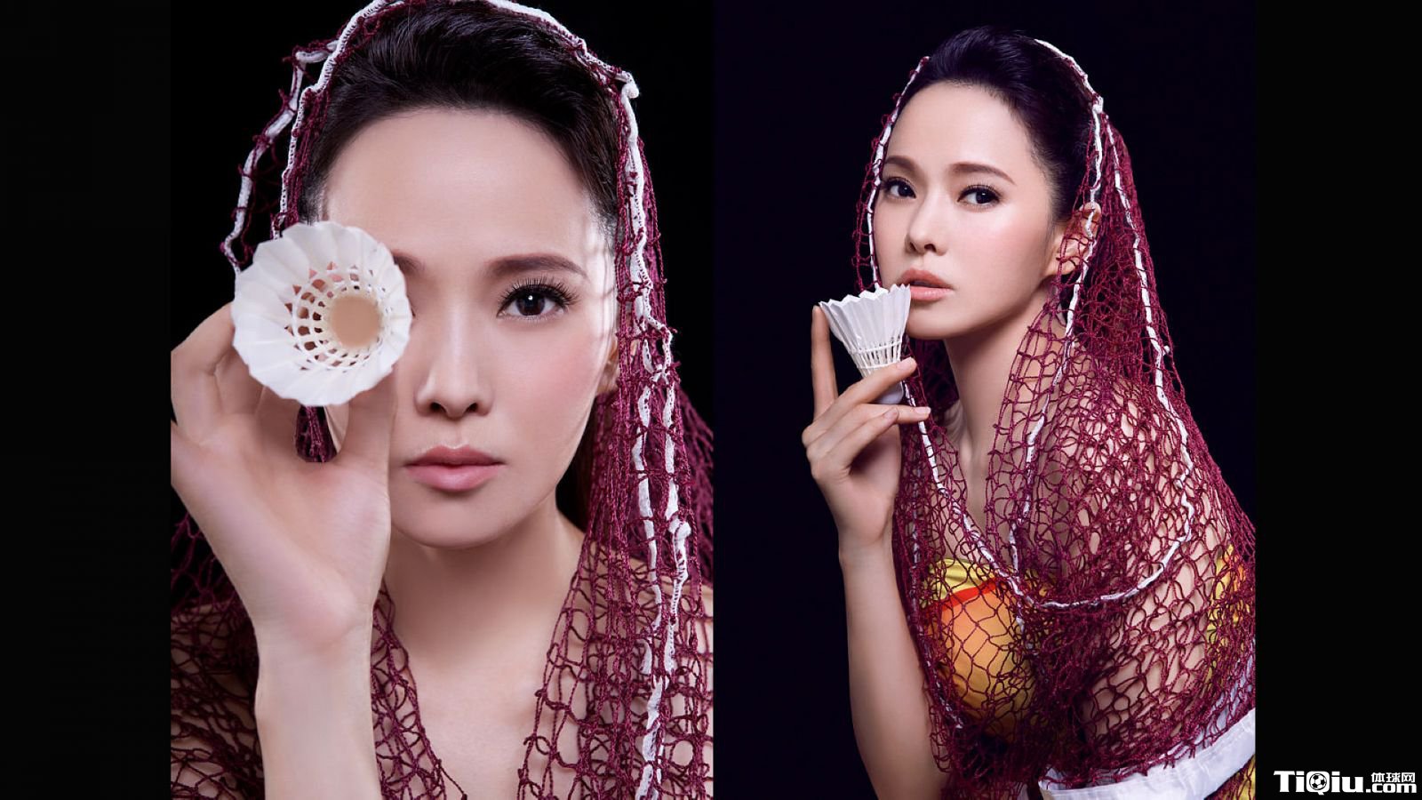 ��ţ����ë������ ֵ������ѧϰ