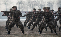 ����ƹ����Ӿ�ѵ�㱨 ��ƹ��ʿ���о���ȭ����