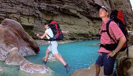 ��ɽ��֬�������� �ɹ����ʲ�����