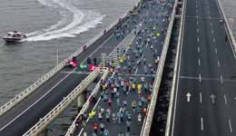 ������������Ȥ���� �ܵ���·ȥ�䷹