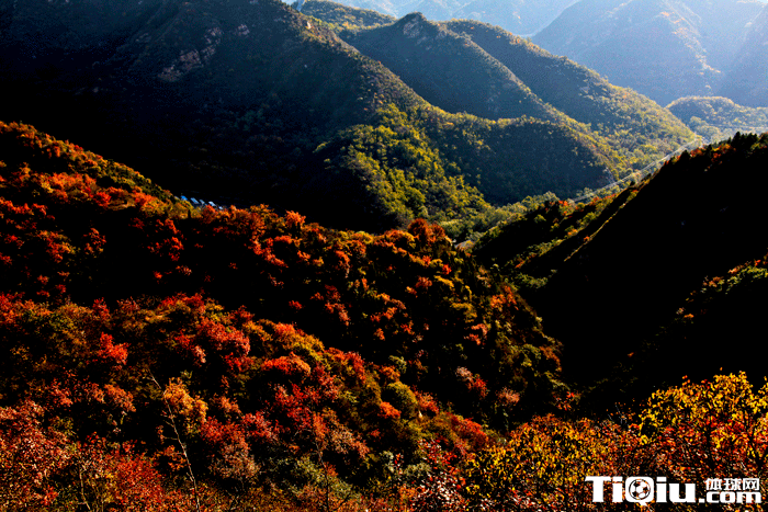 ��ɽ�ܹ����������½� �����۽���ľ�