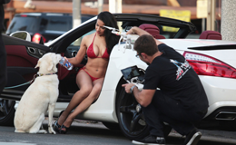 �㳵��Ů�빷 ��������Ů�����Ը�����