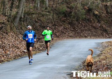 �����˲μ������ɱ��� �����˾��������ܲ�