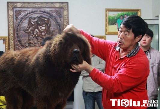 被马俊仁骗惨的不止马家军 一只王八养活一个厂