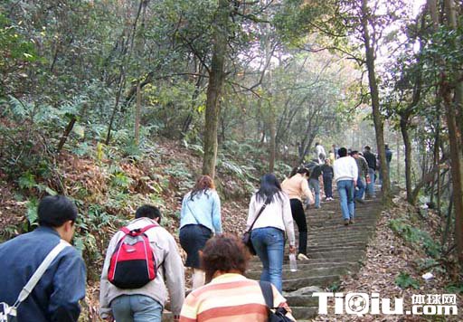 爬山有风险 这几类人爬山需警惕