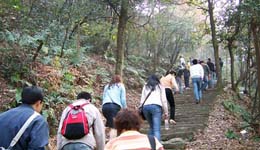 ��ɽ�з��� �⼸������ɽ�辯��