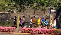 日本高富帅爱皇居RUN 想泡高富帅就来皇居