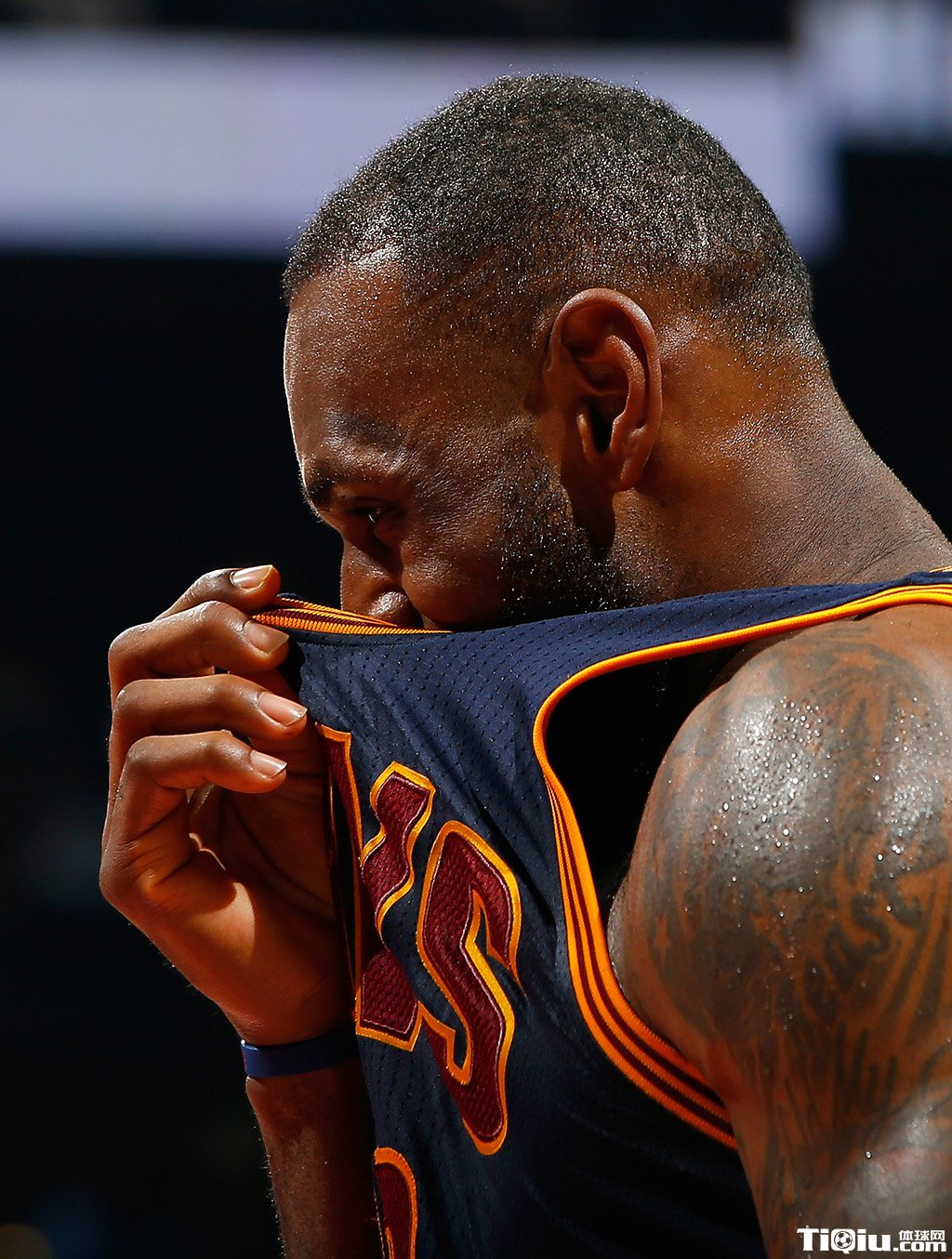 ղ����˫ժ���ܰ���λ