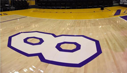 洛城举办青年基金募捐 湖人预备拍卖飞侠八号地板